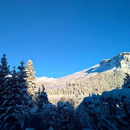 Cresta Flims